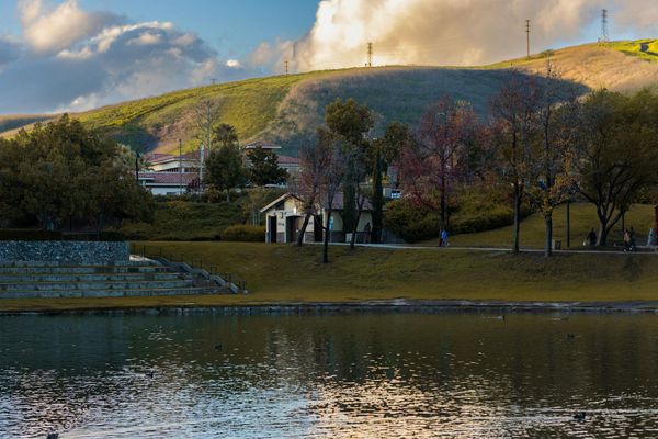 Water ripples in a calm pond reflecting the sky.